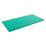 AIREX Gymnastikmatte Hercules, LxBxH 200x100x2,5 cm