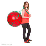 Ballnetz für 1 Gymnastikball, grün