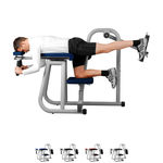 ERGO-FIT Trainingsgert Hip Bench