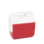 Eisbox klein, 6,6 l
