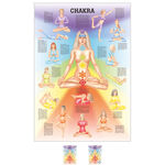 Lehrtafel Chakra, LxB 100x70 cm