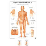 Lehrtafel Körperakupunktur II, LxB 100x70 cm