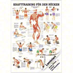 Lehrtafel Kraftraining Rcken, LxB 100x70 cm