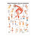 Lehrtafel Krafttraining Schulter, LxB 100x70 cm