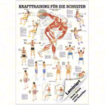 Lehrtafel Krafttraining Schulter, LxB 100x70 cm