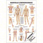 Lehrtafel Manuelle Lymphdrainage, LxB 100x70 cm