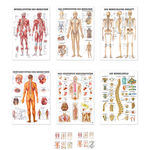 Lehrtafel-Set: 6 Lehrtafeln, LxB 100x70 cm