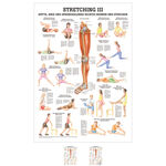 Lehrtafel Stretching III, LxB 100x70 cm