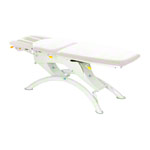 Lojer Therapieliege Capre F5R Electric 5-tlg., Dachstellung, Breite: 65 cm