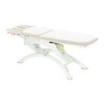 Lojer Therapieliege Capre F5R Elektrik