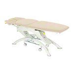 Lojer Therapieliege Capre F5R Elektrik mit Radautomatik