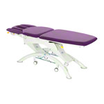Lojer Therapieliege Capre F5R Elektrik mit Radautomatik