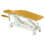 Lojer Therapieliege Delta DP5 mit Radhebesystem