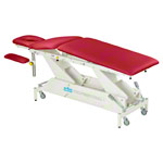 Lojer Therapieliege Delta DP5 mit Radhebesystem