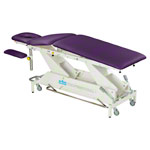 Lojer Therapieliege Delta DP5 mit Radhebesystem und Rundumschaltung