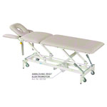 Lojer Therapieliege Delta DS5H mit Radhebesystem