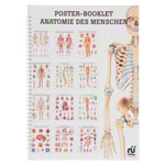 Mini-Poster Booklet Anatomie des Menschen, LxB 34x24 cm, 12 Poster