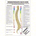 Mini-Poster Dorntherapie, LxB 34x24 cm