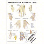 Mini-Poster Hand-Akupunktur, LxB 34x24 cm