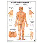 Mini-Poster Krperakupunktur II, LxB 34x24 cm