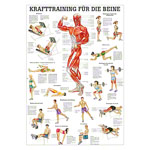 Mini-Poster Krafttraining Beine, LxB 34x24 cm