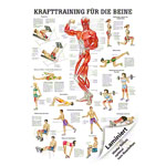 Mini-Poster Krafttraining Beine, LxB 34x24 cm