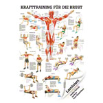 Mini-Poster Krafttraining Brust, LxB 34x24 cm