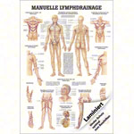 Mini-Poster Manuelle Lymphdrainage, LxB 34x24 cm