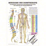 Mini-Poster Meridiane u. Dorn, LxB 34x24 cm