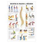 Mini-Poster Richtig u. falsch für Ihren Rücken, LxB 34x24 cm