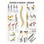 Mini-Poster Richtig u. falsch für Ihren Rücken, LxB 34x24 cm