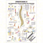 Mini-Poster Stretching II, LxB 34x24 cm