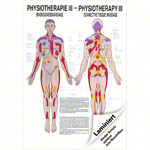 Poster Bindegewebsmassage, LxB 70x50 cm