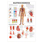 Poster Bluthochdruck, LxB 70x50 cm