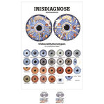 Poster Irisdiagnose, LxB 70x50 cm