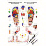Poster Reflexzonen Fuss, LxB 70x50 cm