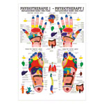 Poster Reflexzonen, LxB 70x50 cm