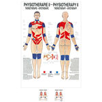 Poster Thermotherapie, LxB 70x50 cm