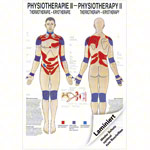Poster Thermotherapie, LxB 70x50 cm