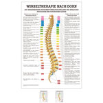 Poster Wirbeltherapie nach Dorn, LxB 70x50 cm