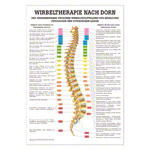 Poster Wirbeltherapie nach Dorn, LxB 70x50 cm