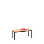 Sitzbank ohne Schuhrost, LxBxH 100x35,8x45 cm