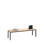 Sitzbank ohne Schuhrost, LxBxH 150x35,8x45 cm