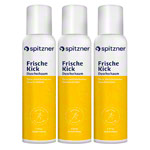 Spitzner Duschschaum FrischeKick, 150ml