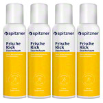 Spitzner Duschschaum FrischeKick, 150ml