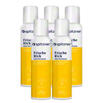 Spitzner Duschschaum FrischeKick, 150ml