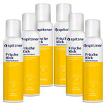 Spitzner Duschschaum FrischeKick, 150ml