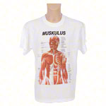 T-Shirt Muskulatur, Gr. XL