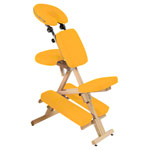 Therapiestuhl Delta Harmony inkl. Schultertragegurt
