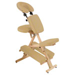 Therapiestuhl Delta Harmony inkl. Schultertragegurt